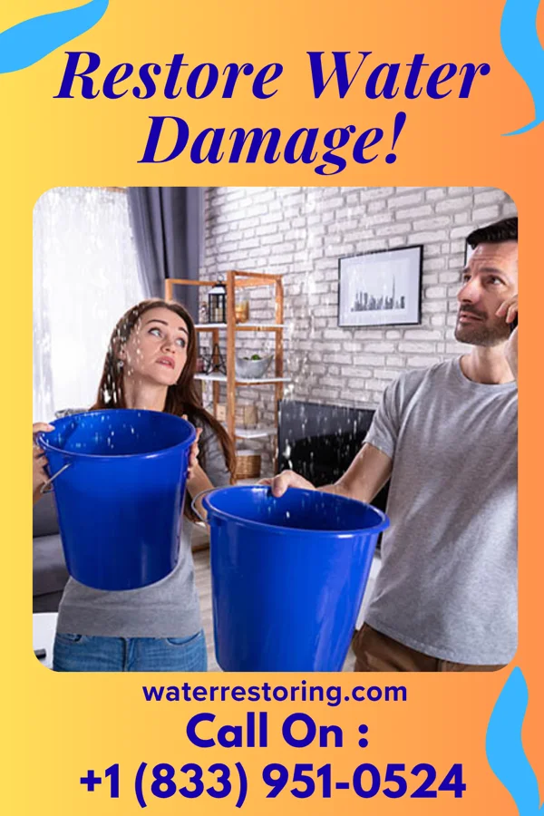 water restoration Capital Sewage Cleanup Solutions Graball