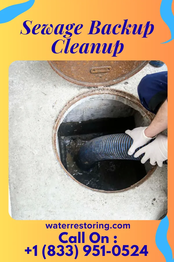 Sewage Backup Cleanup in Graball, TN